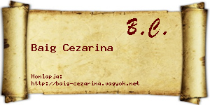 Baig Cezarina névjegykártya